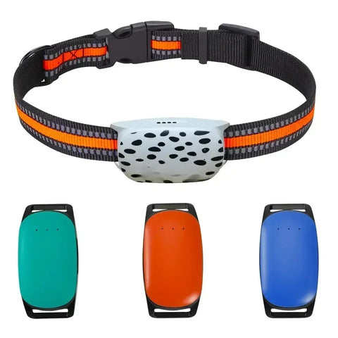 Collier GPS Chien