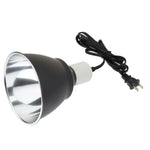 Lampe Halogène Reptiles