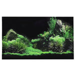 Fond Décoratif Aquarium