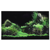 Fond Décoratif Aquarium