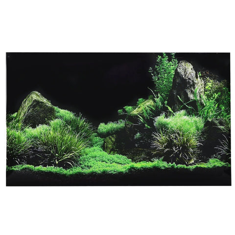 Fond Décoratif Aquarium