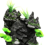 Cascade Décorative Terrarium