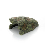 Maison Cachette Tortue