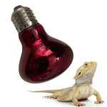 Spot Chauffant Terrarium