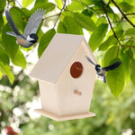 Nid Extérieur Oiseaux