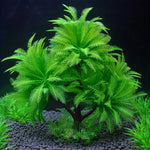 Plantes Artificielles Aquarium