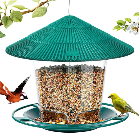 Mangeoire Extérieure Oiseaux