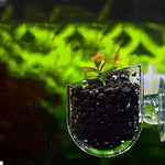 Mangeoire Suspendue Aquarium