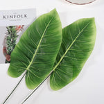 Feuillage Jungle Terrarium