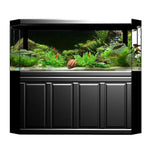 Fond Décoratif Aquarium
