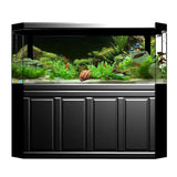 Fond Décoratif Aquarium