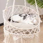 Hamac Chat Suspendu