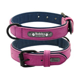 Collier Cuir Personnalisé Chien