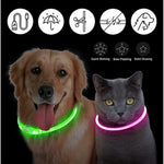 Collier Lumineux LED Chien