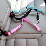 Ceinture de Sécurité Chien