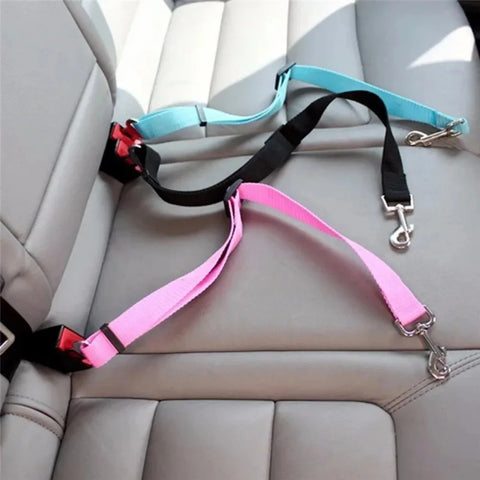 Ceinture de Sécurité Chien
