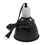 Lampe Halogène Reptiles
