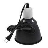 Lampe Halogène Reptiles