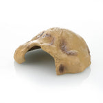 Maison Cachette Tortue