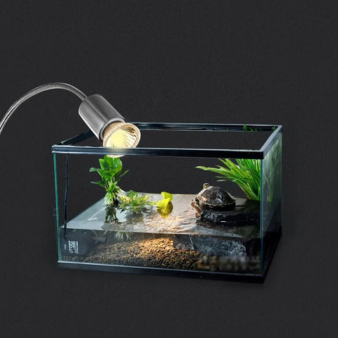 Lampe UVB Tortue