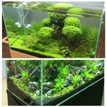 Substrat Aquarium Naturel