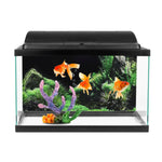 Fond Décoratif Aquarium