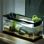 Aquarium Eau Douce