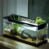 Aquarium Eau Douce