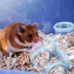 Tunnels Extension Hamster