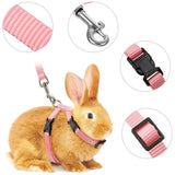 Harnais Laisse Lapin