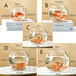 Aquarium Petit Volume