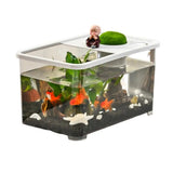 Aquarium Design Moderne