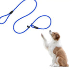 Laisse Corde Escalade Chien