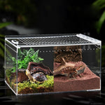 Bac Substrat Terrarium