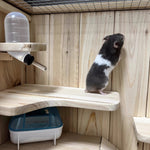 Cage Hamster Étage