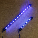 Lumière Bleue Aquarium