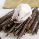 Jouet à Macher Hamster