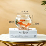 Aquarium Petit Volume