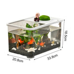Aquarium Design Moderne
