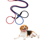 Laisse Corde Escalade Chien