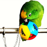 Balle Suspendue Oiseaux