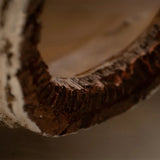 Caverne Reptile Humidité