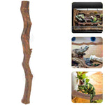 Décor Bois Exotique Reptile