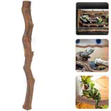 Décor Bois Exotique Reptile