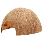 Cachette Reptile Naturelle