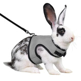 Ceinture Sécurité Lapin