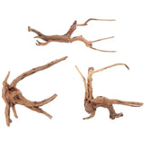 Racines Naturelles Terrarium