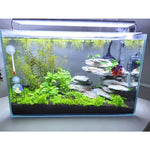 Éclairage LED Terrarium