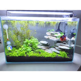 Éclairage LED Terrarium