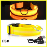 Collier Lumineux LED Chien